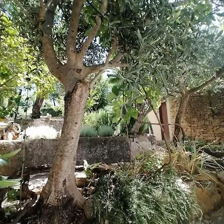 Unique In The Algarve Villa *